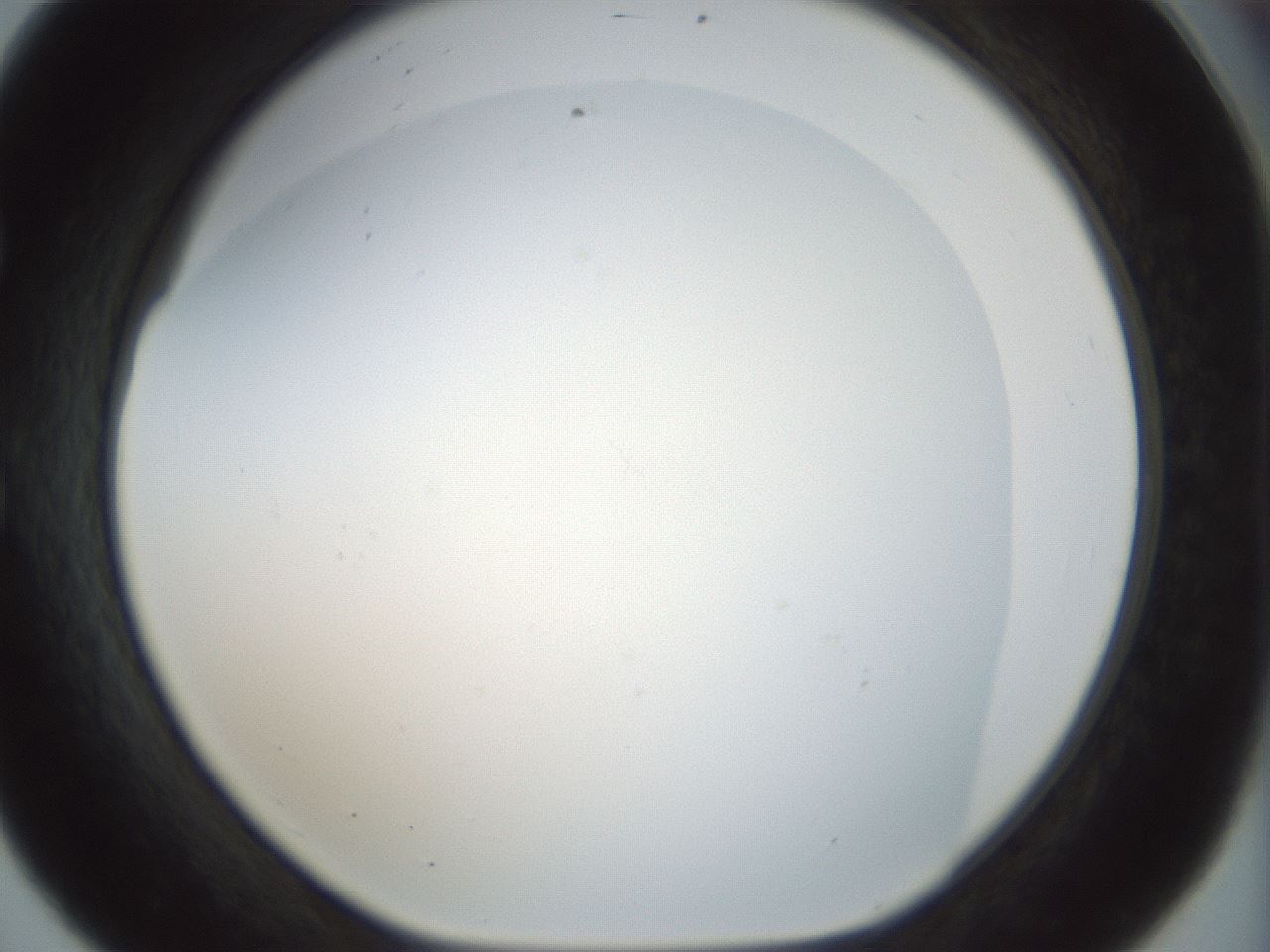 folderID210_plateID1210_batchID3713_wellNum56_profileID1_d1_r69838_ef.jpg