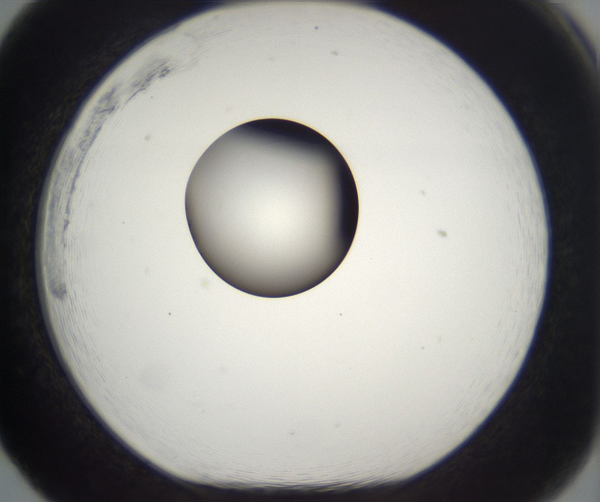 folderID210_plateID2210_batchID10053_wellNum65_profileID1_d1_r151415_ef.jpg