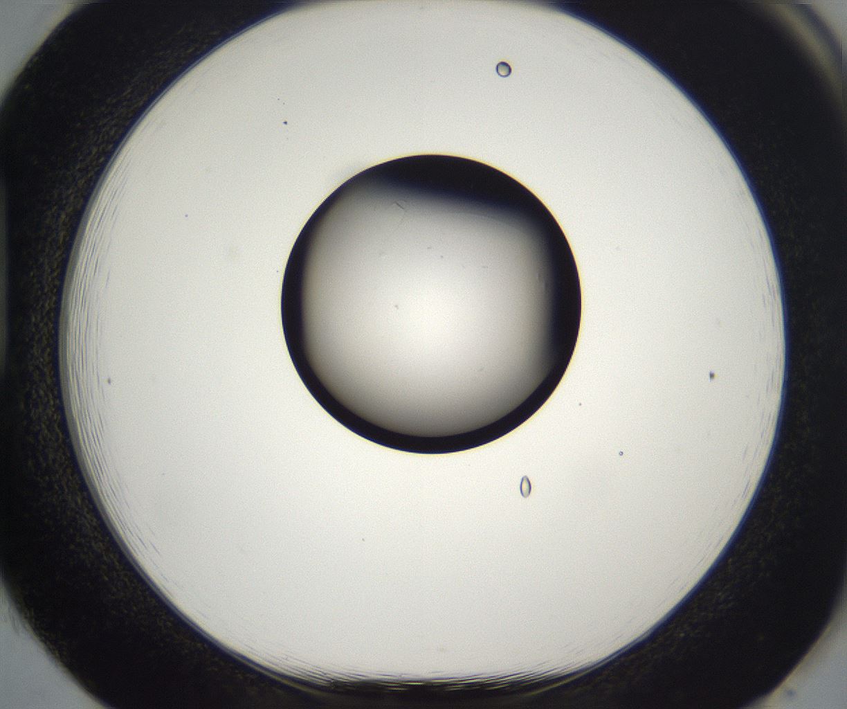 folderID210_plateID2210_batchID10053_wellNum85_profileID1_d1_r151455_ef.jpg