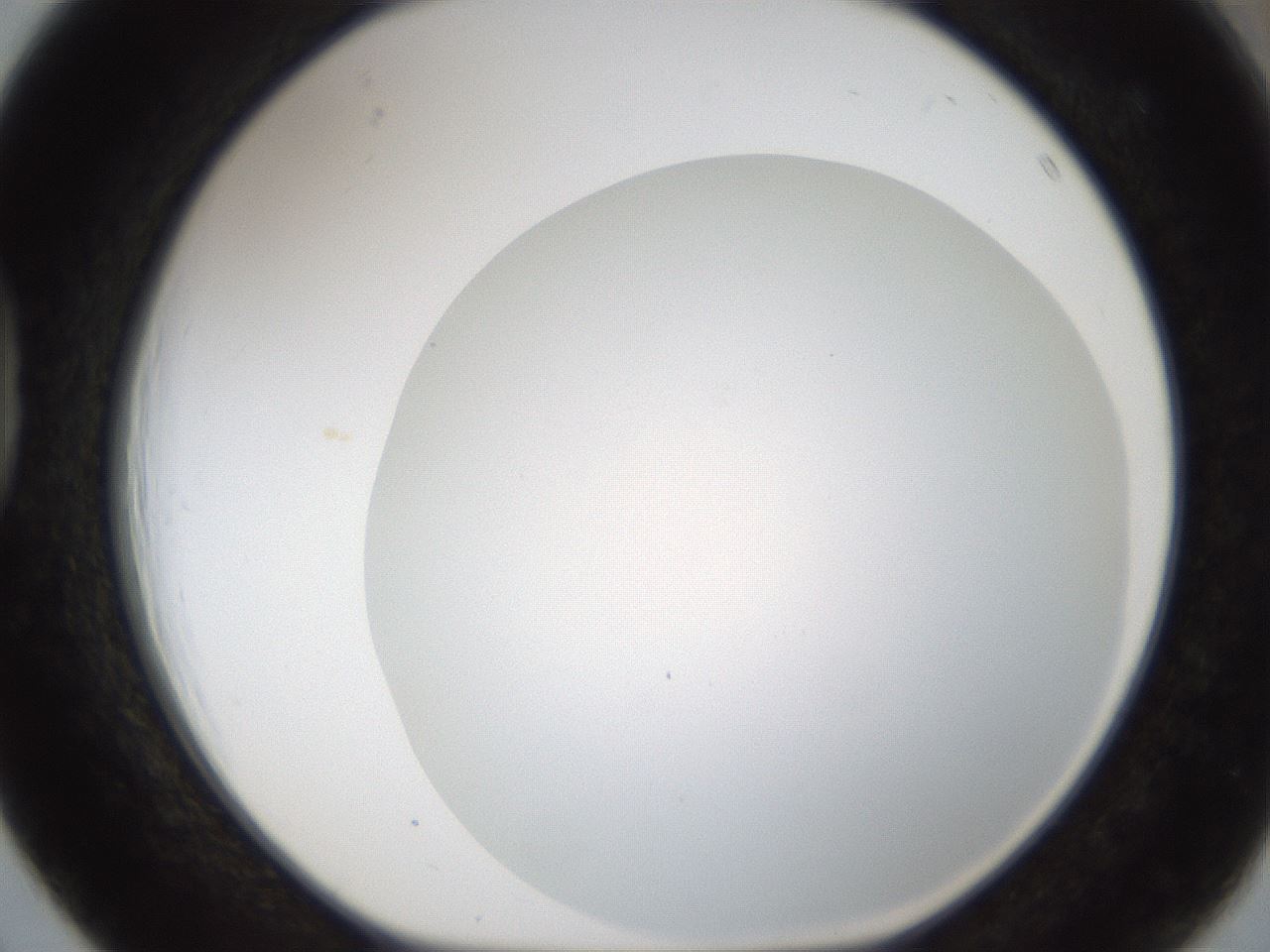 folderID211_plateID1211_batchID3654_wellNum39_profileID1_d1_r67404_ef.jpg