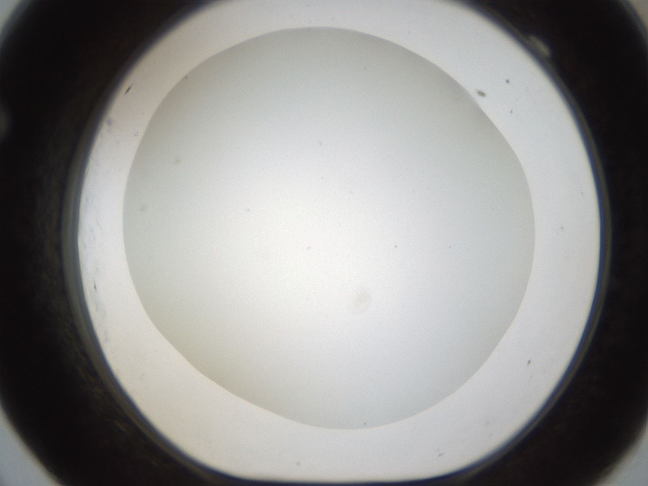 folderID211_plateID1211_batchID3654_wellNum69_profileID1_d1_r67464_ef.jpg