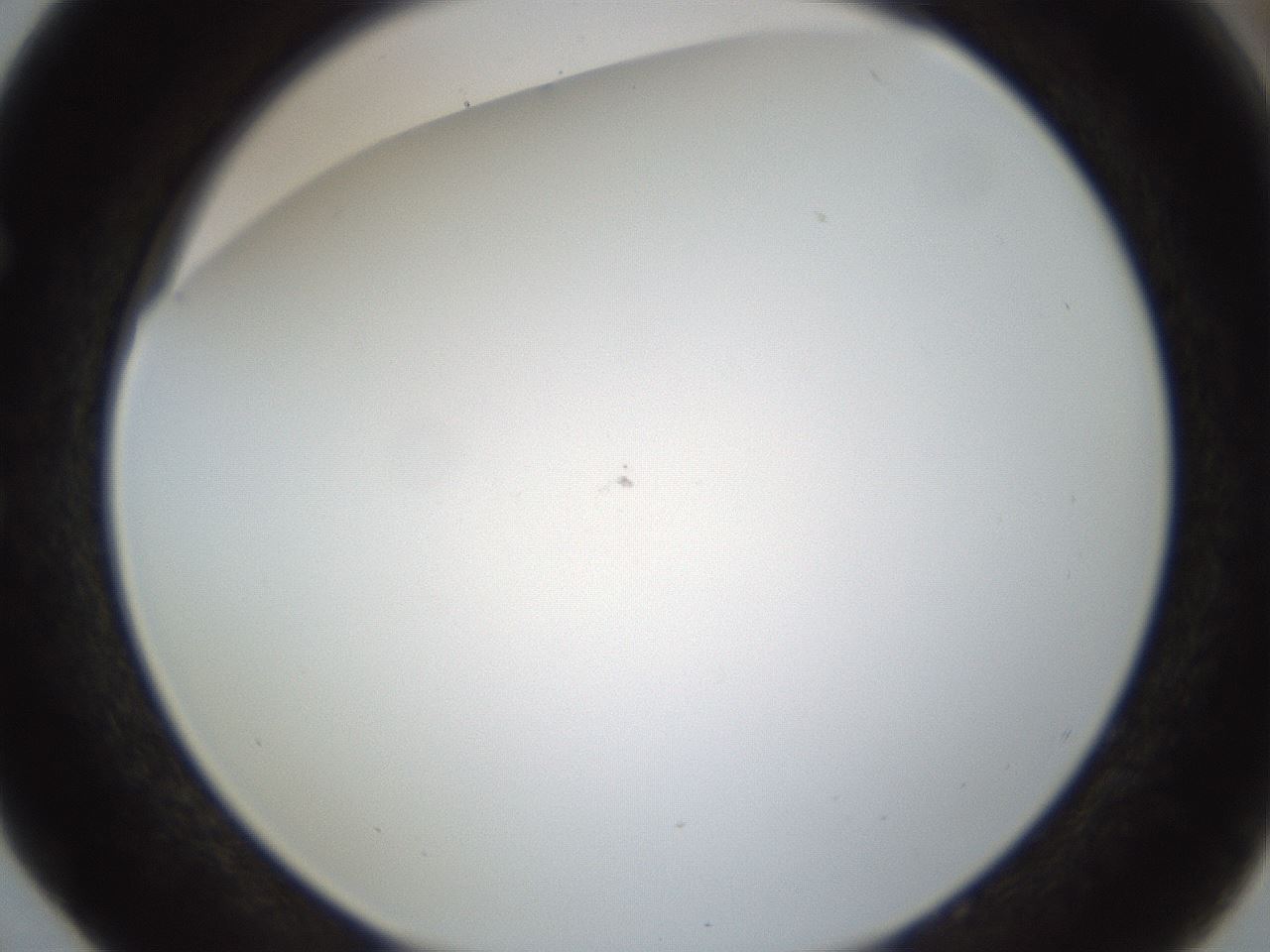folderID212_plateID1212_batchID3623_wellNum52_profileID1_d1_r68486_ef.jpg