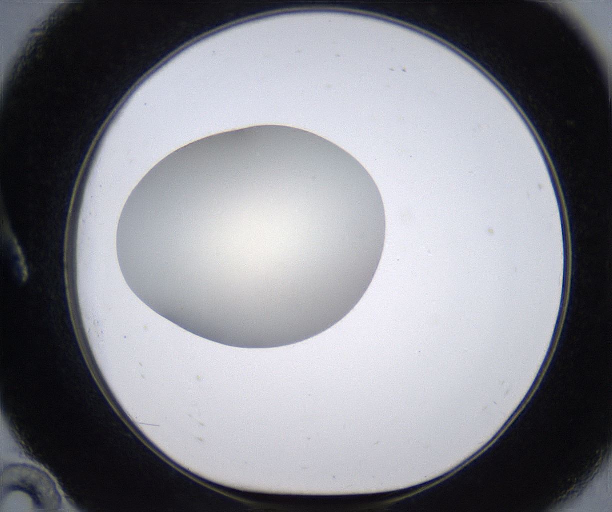 folderID200_plateID2200_batchID9969_wellNum10_profileID1_d1_r149184_ef.jpg