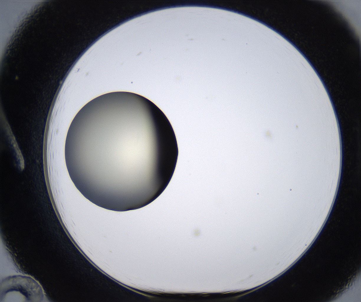 folderID200_plateID2200_batchID9969_wellNum12_profileID1_d1_r149186_ef.jpg