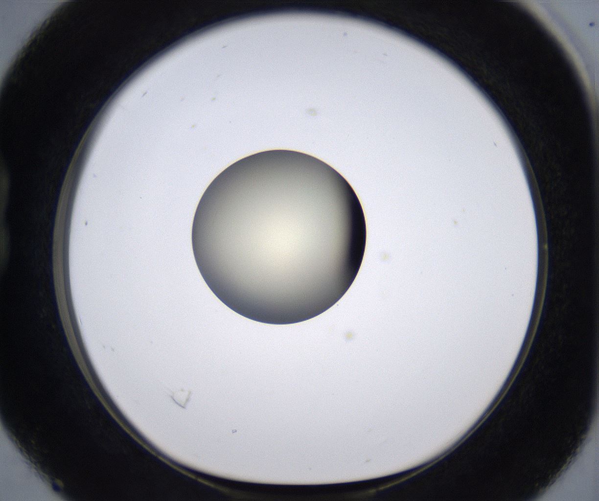 folderID200_plateID2200_batchID9969_wellNum16_profileID1_d1_r149190_ef.jpg