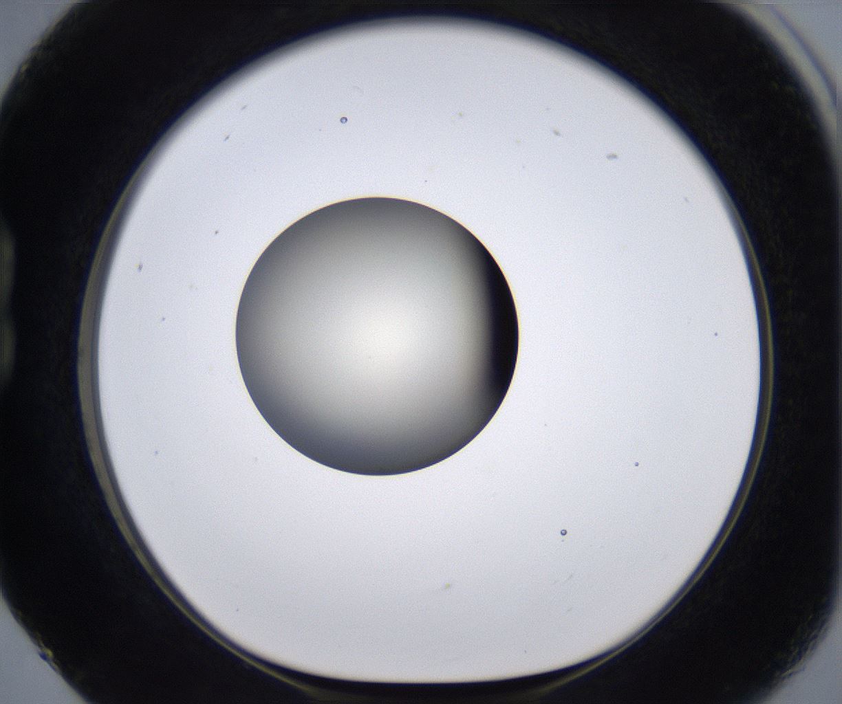 folderID200_plateID2200_batchID9969_wellNum17_profileID1_d1_r149191_ef.jpg