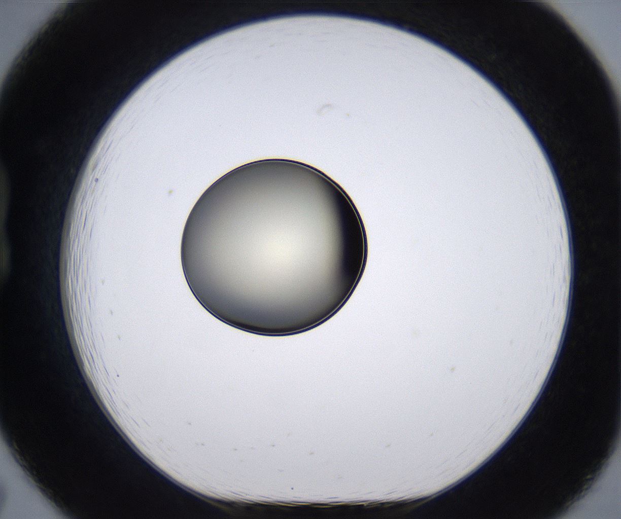 folderID200_plateID2200_batchID9969_wellNum19_profileID1_d1_r149193_ef.jpg