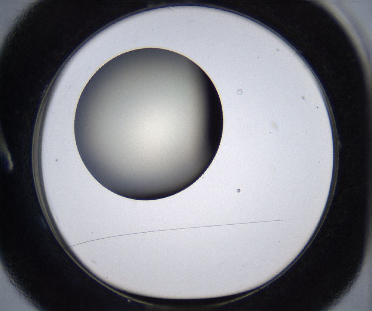 folderID200_plateID2200_batchID9969_wellNum1_profileID1_d1_r149175_ef.jpg