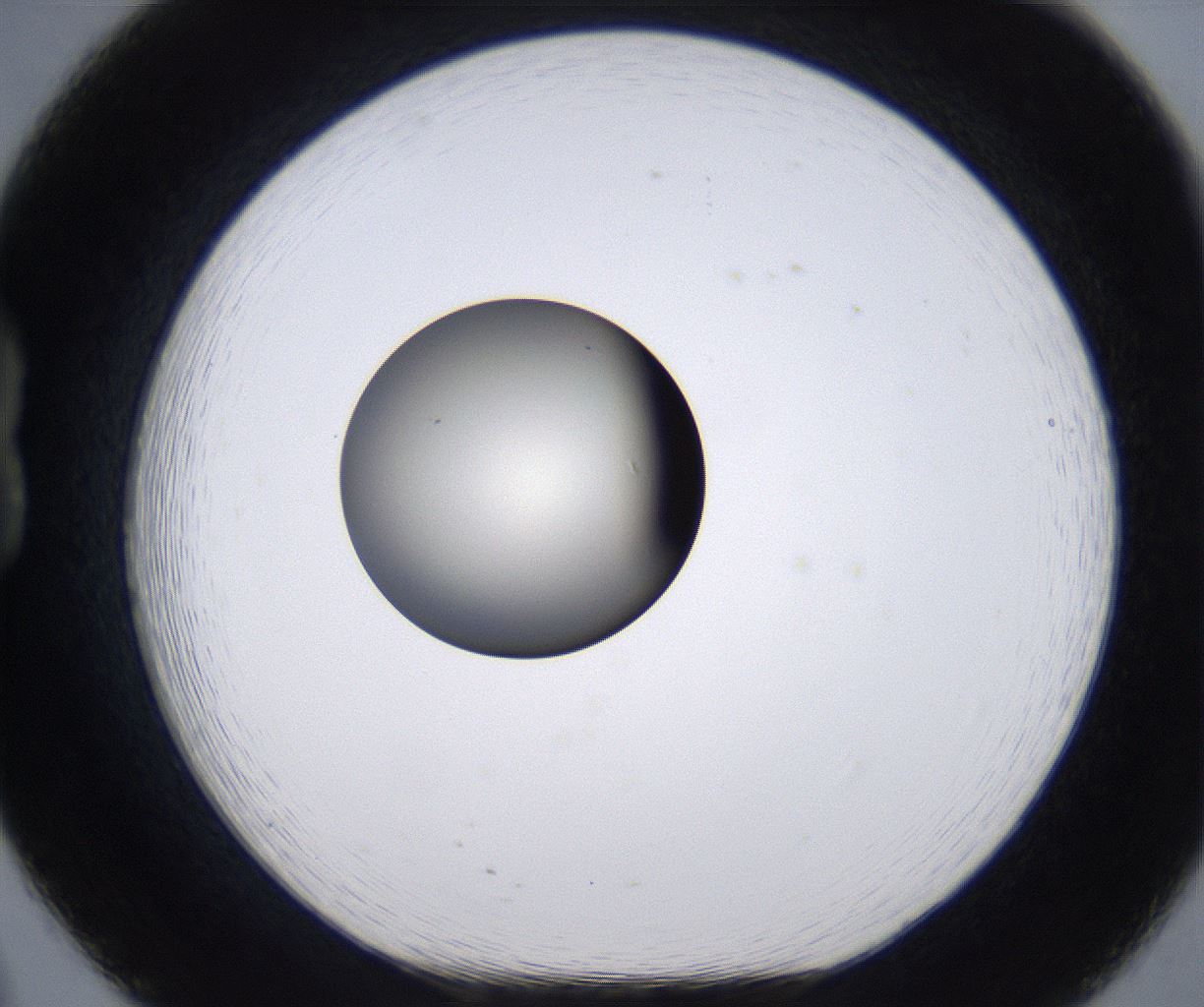 folderID200_plateID2200_batchID9969_wellNum20_profileID1_d1_r149194_ef.jpg