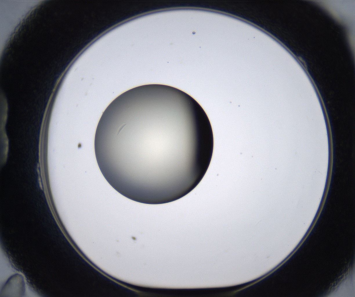 folderID200_plateID2200_batchID9969_wellNum23_profileID1_d1_r149197_ef.jpg