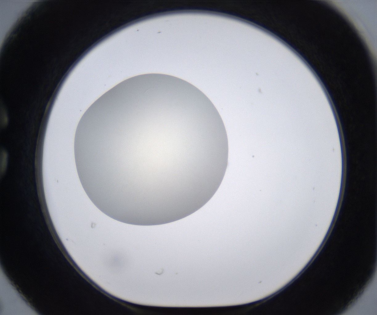 folderID200_plateID2200_batchID9969_wellNum30_profileID1_d1_r149204_ef.jpg