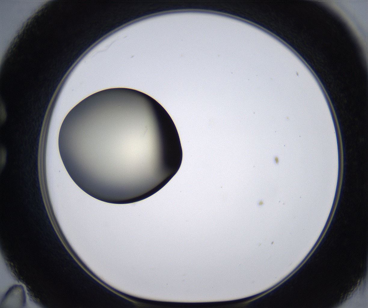folderID200_plateID2200_batchID9969_wellNum35_profileID1_d1_r149209_ef.jpg