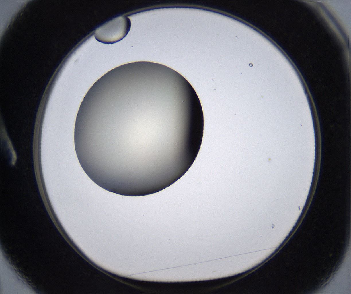 folderID200_plateID2200_batchID9969_wellNum3_profileID1_d1_r149177_ef.jpg