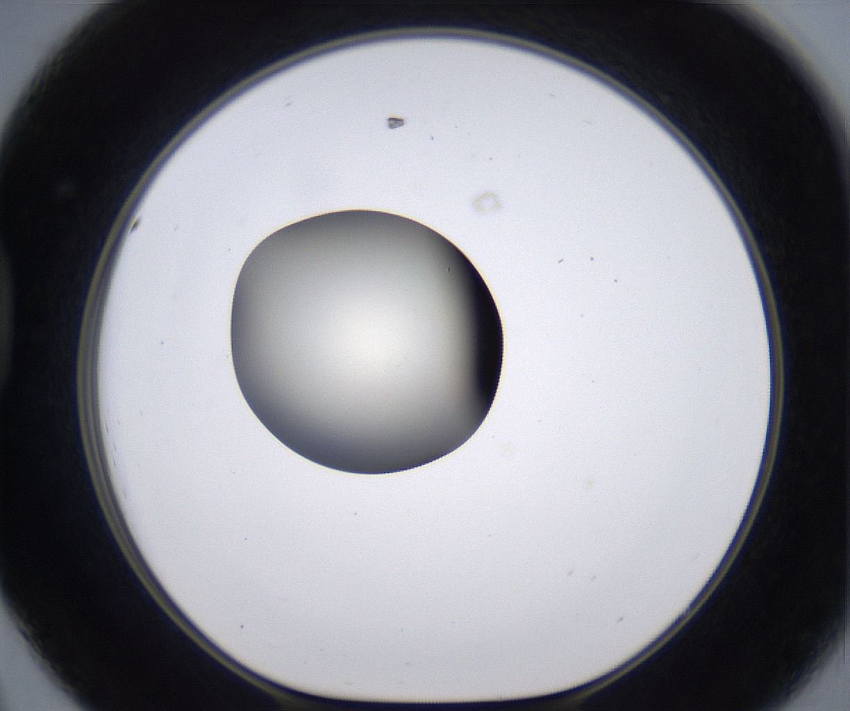 folderID200_plateID2200_batchID9969_wellNum44_profileID1_d1_r149218_ef.jpg
