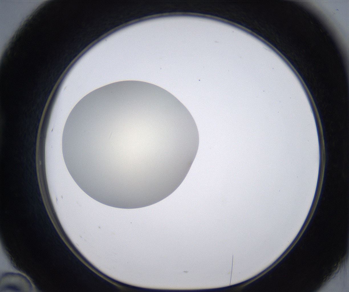 folderID200_plateID2200_batchID9969_wellNum46_profileID1_d1_r149220_ef.jpg