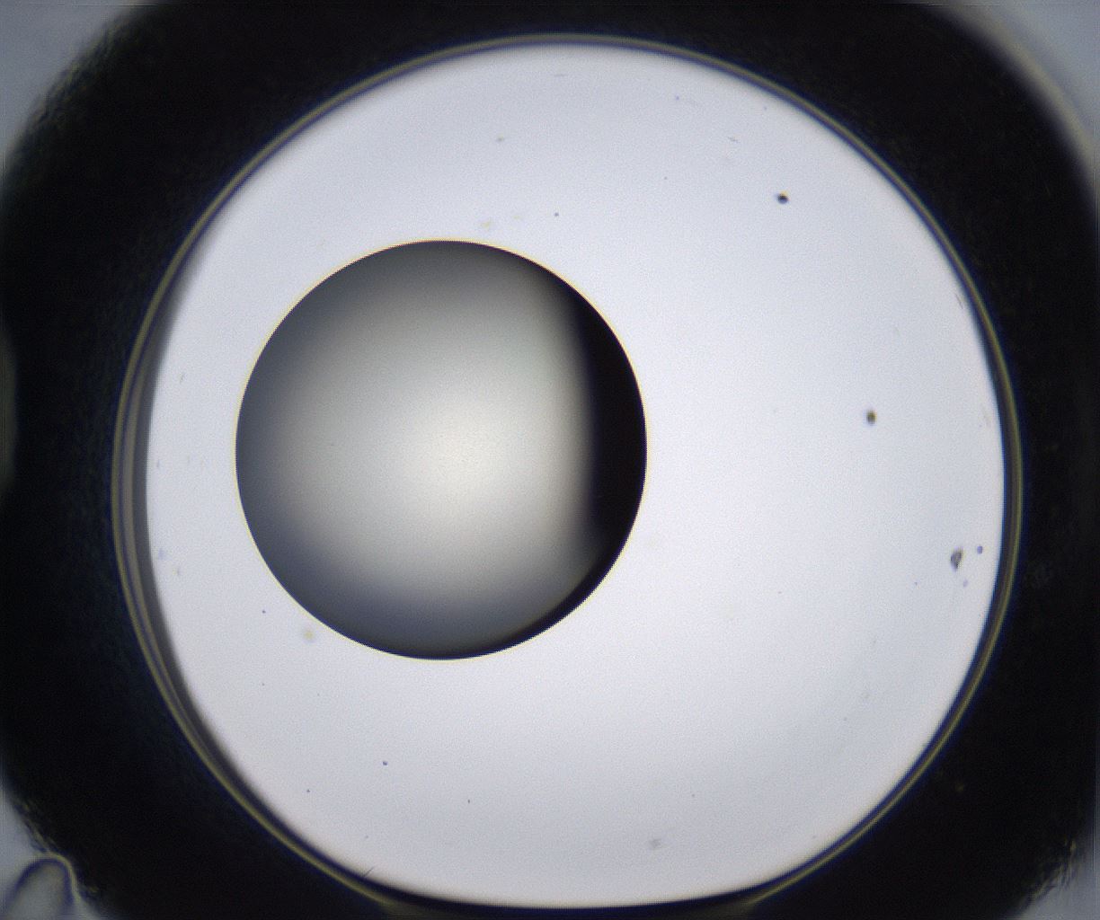 folderID200_plateID2200_batchID9969_wellNum47_profileID1_d1_r149221_ef.jpg