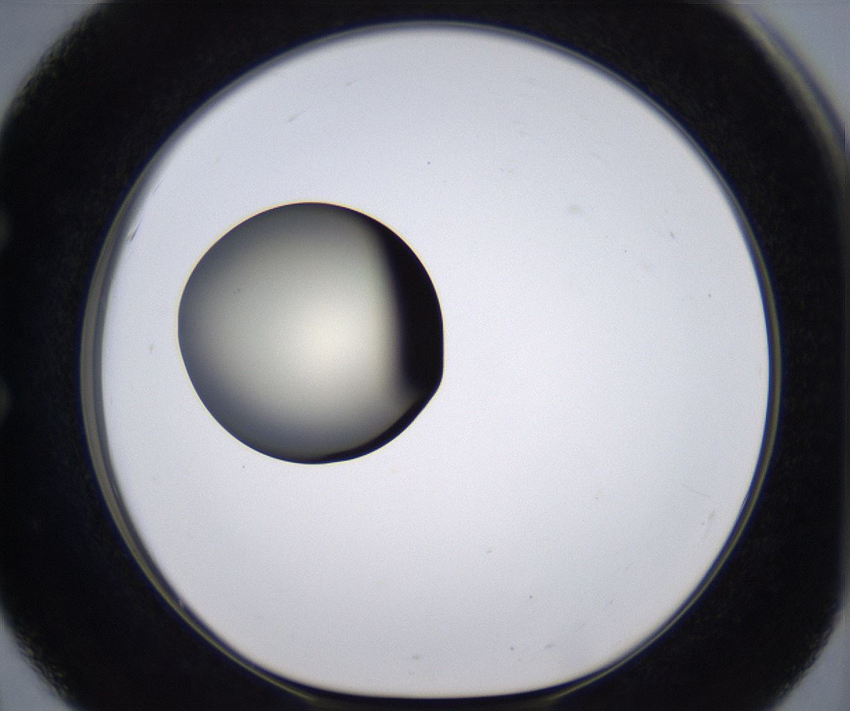 folderID200_plateID2200_batchID9969_wellNum51_profileID1_d1_r149225_ef.jpg