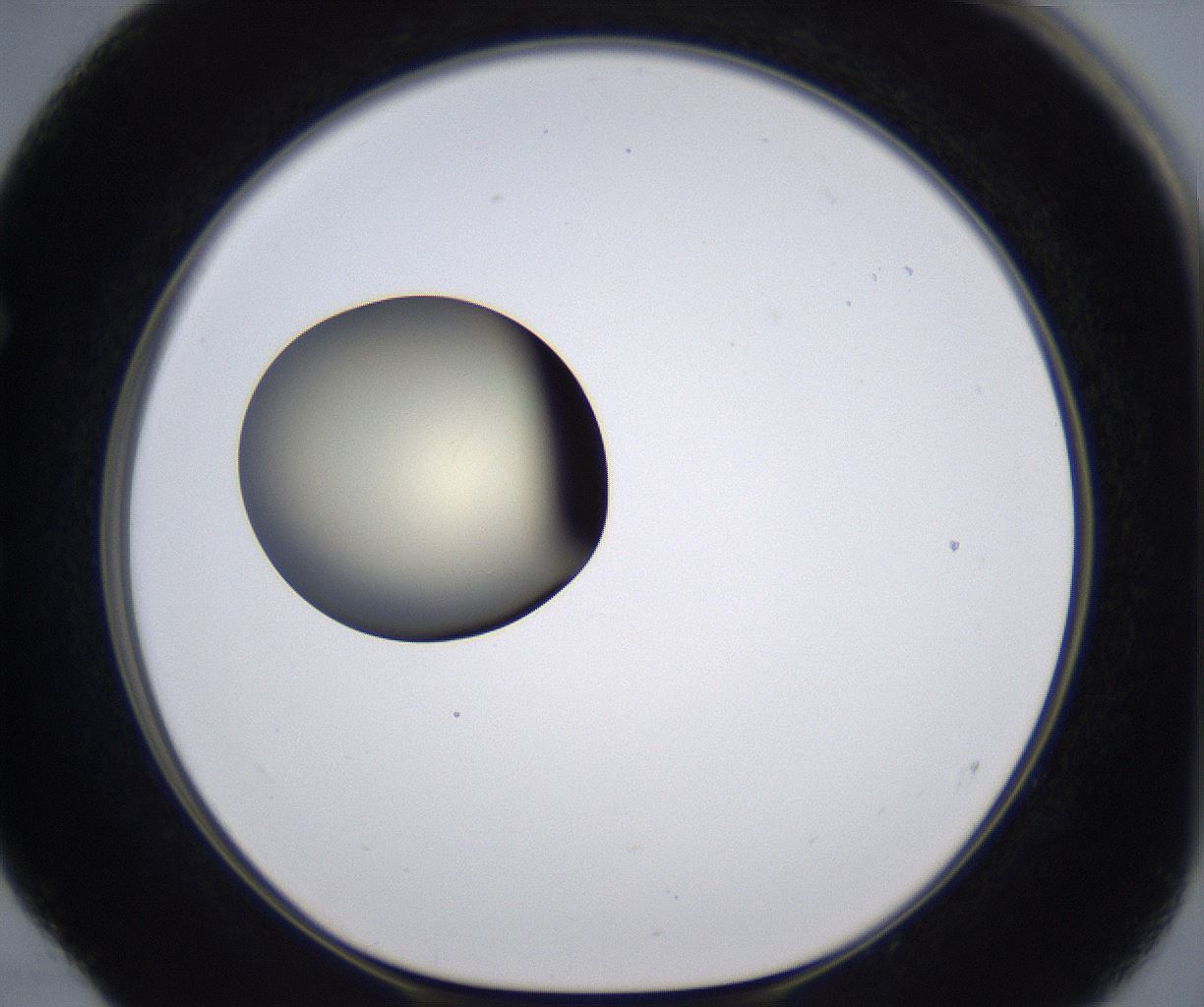 folderID200_plateID2200_batchID9969_wellNum52_profileID1_d1_r149226_ef.jpg