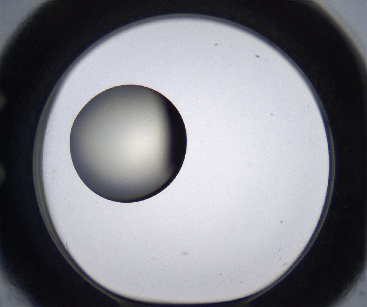 folderID200_plateID2200_batchID9969_wellNum54_profileID1_d1_r149228_ef.jpg
