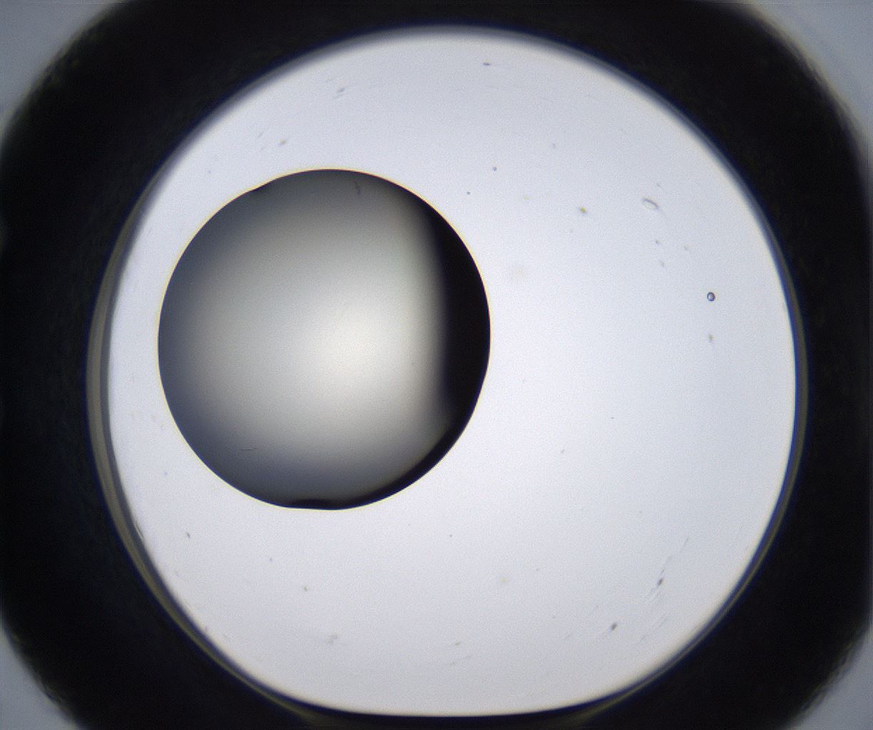folderID200_plateID2200_batchID9969_wellNum55_profileID1_d1_r149229_ef.jpg
