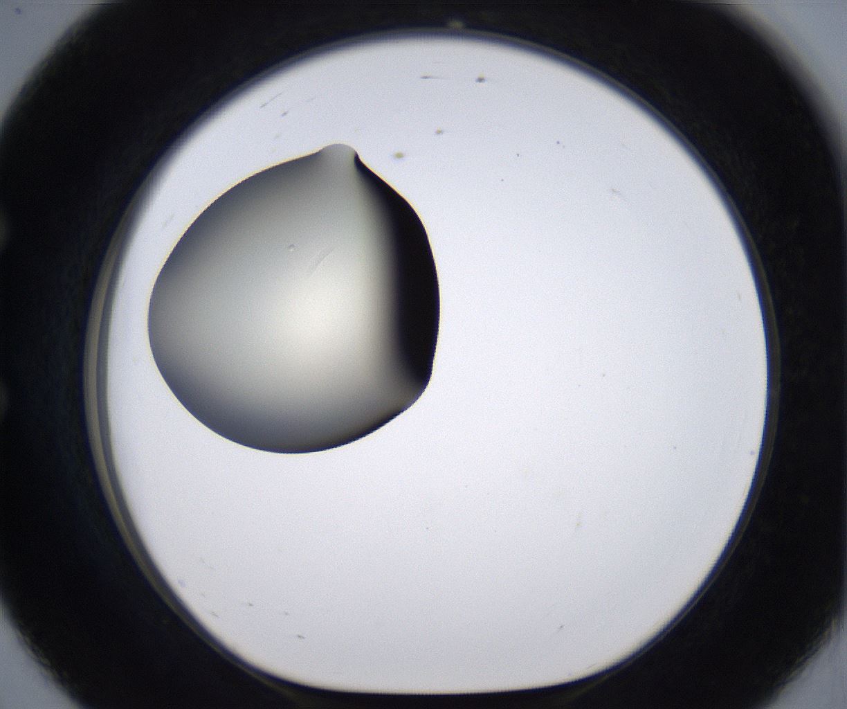 folderID200_plateID2200_batchID9969_wellNum56_profileID1_d1_r149230_ef.jpg