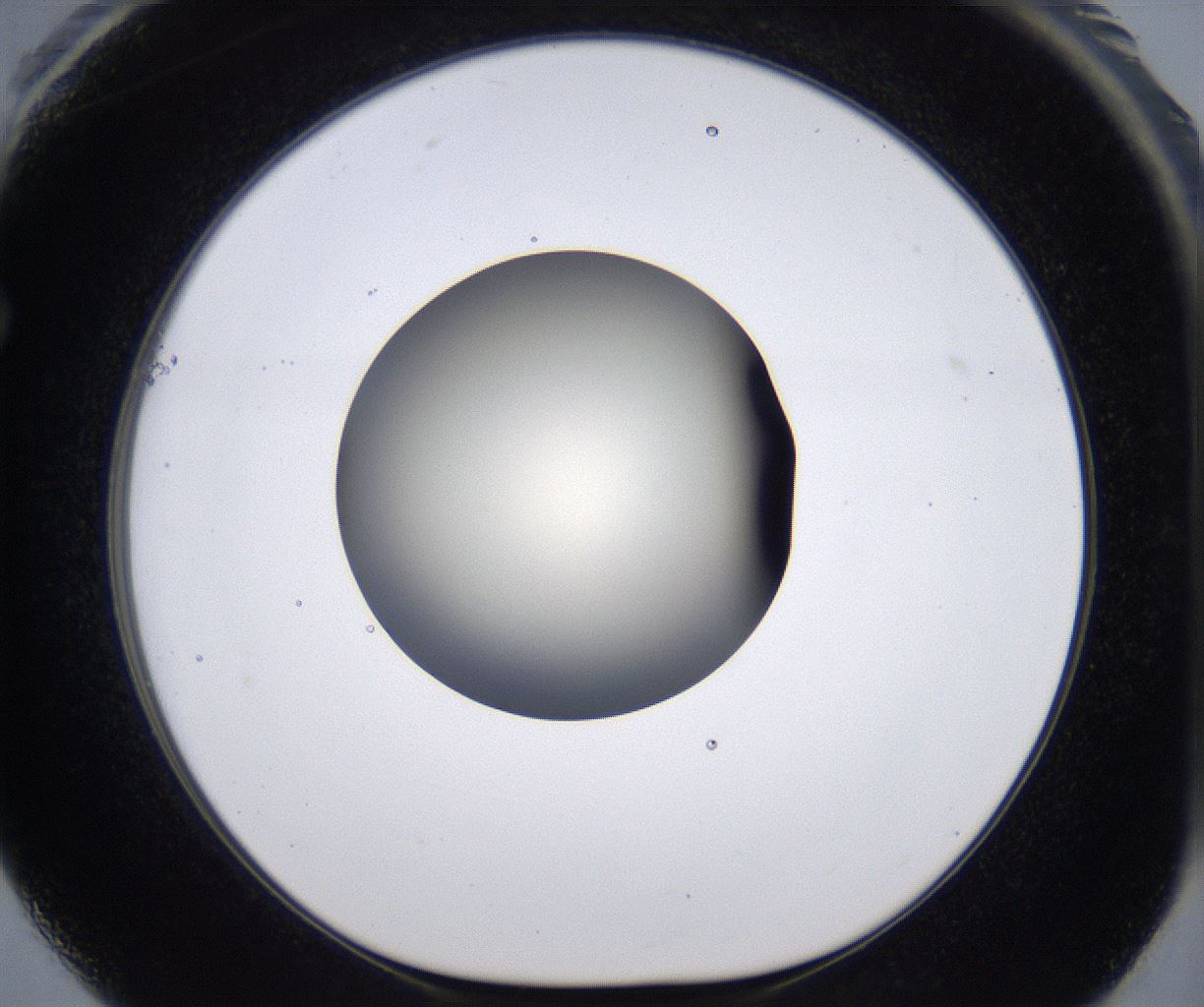 folderID200_plateID2200_batchID9969_wellNum61_profileID1_d1_r149235_ef.jpg