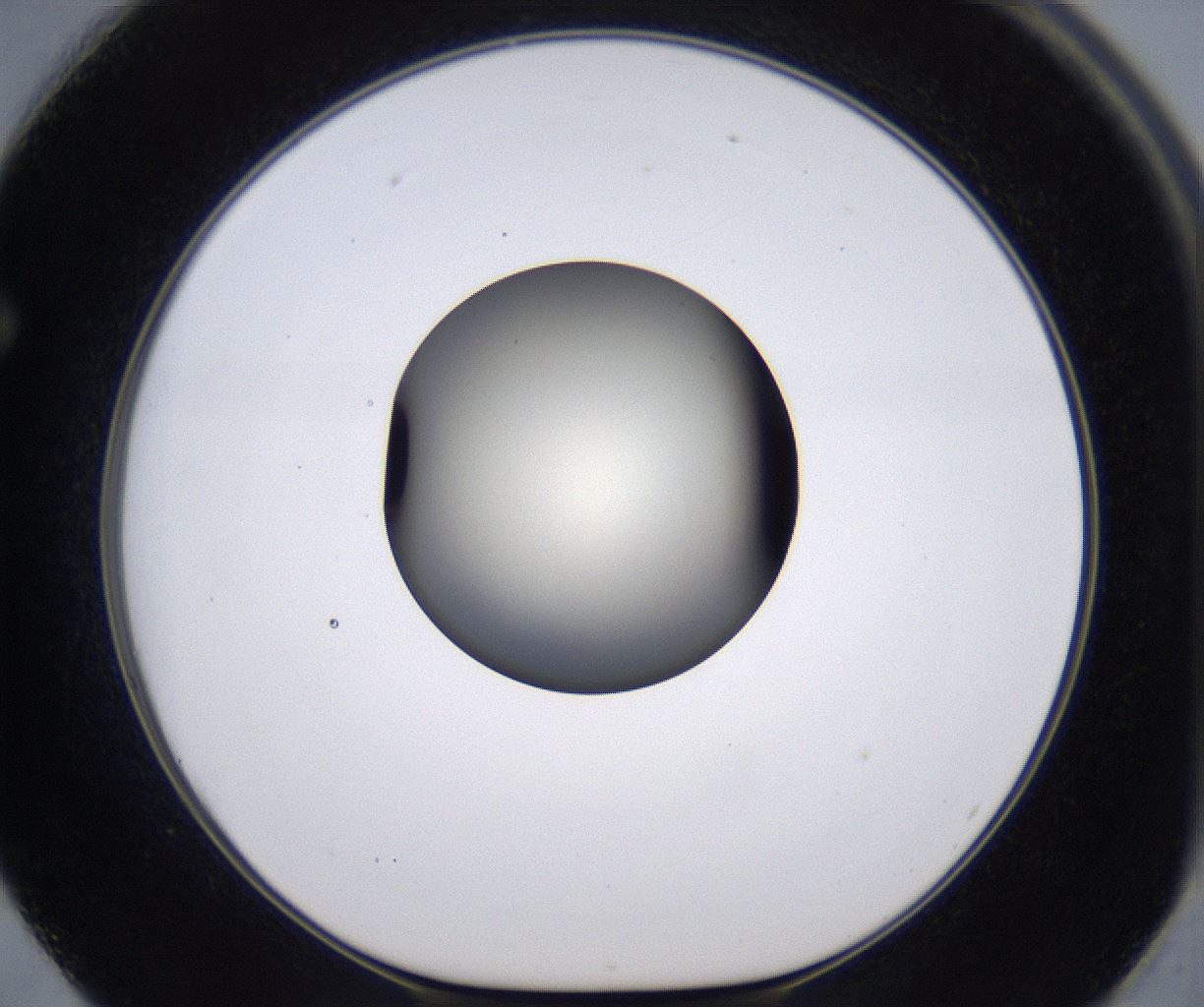 folderID200_plateID2200_batchID9969_wellNum62_profileID1_d1_r149236_ef.jpg