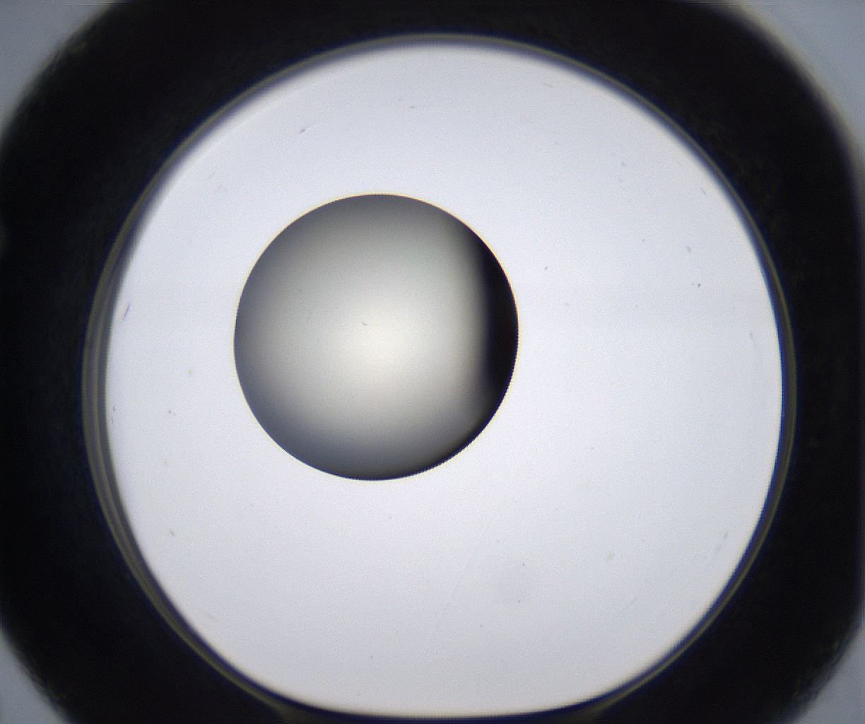 folderID200_plateID2200_batchID9969_wellNum67_profileID1_d1_r149241_ef.jpg