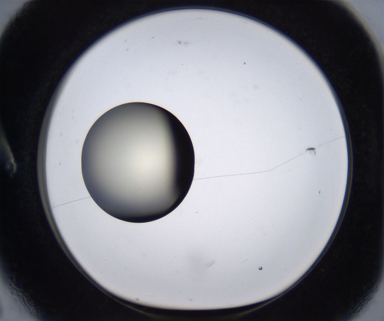 folderID200_plateID2200_batchID9969_wellNum6_profileID1_d1_r149180_ef.jpg