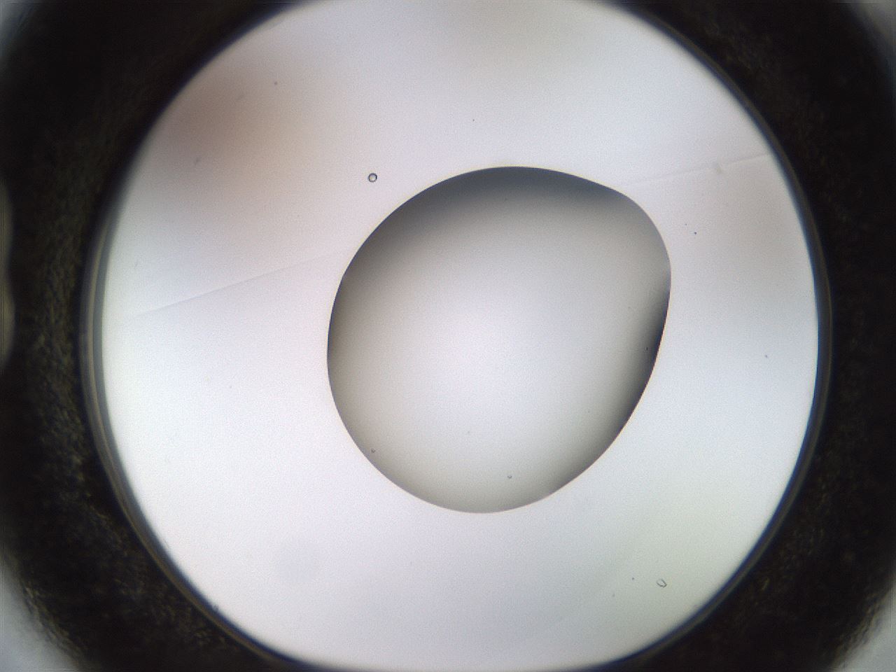 folderID449_plateID1449_batchID5529_wellNum13_profileID1_d1_r92008_ef.jpg