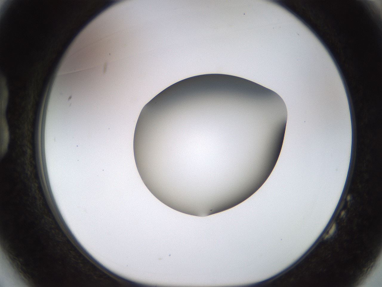 folderID449_plateID1449_batchID5529_wellNum14_profileID1_d1_r92009_ef.jpg
