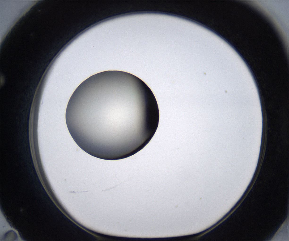 folderID200_plateID2200_batchID9969_wellNum71_profileID1_d1_r149245_ef.jpg