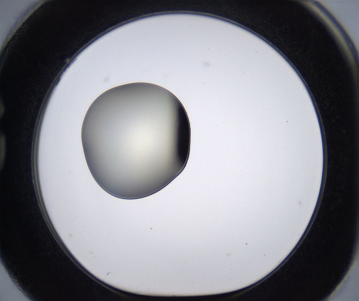 folderID200_plateID2200_batchID9969_wellNum74_profileID1_d1_r149248_ef.jpg