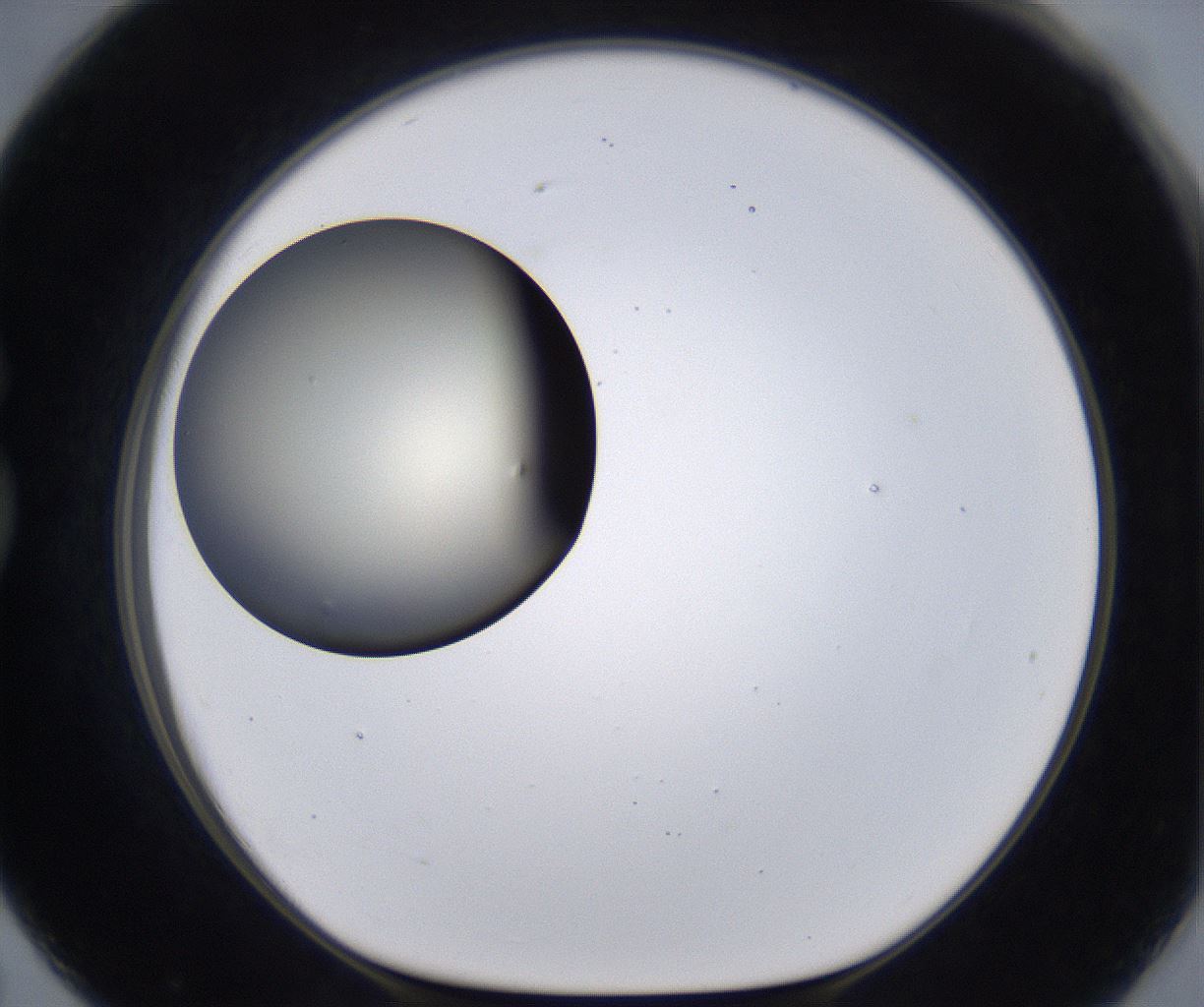 folderID200_plateID2200_batchID9969_wellNum79_profileID1_d1_r149253_ef.jpg