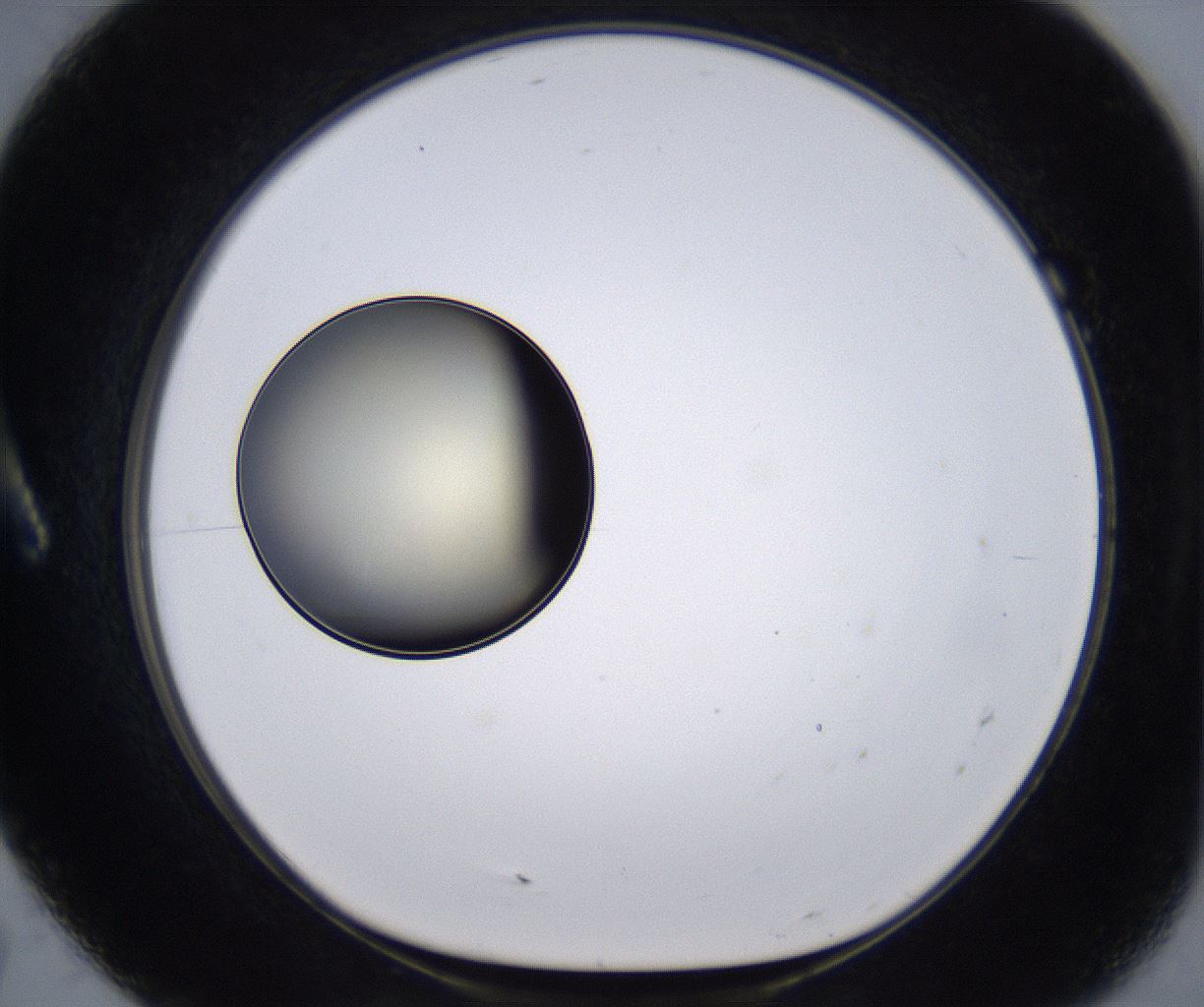 folderID200_plateID2200_batchID9969_wellNum7_profileID1_d1_r149181_ef.jpg