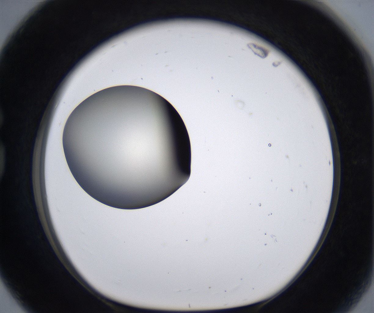 folderID200_plateID2200_batchID9969_wellNum80_profileID1_d1_r149254_ef.jpg
