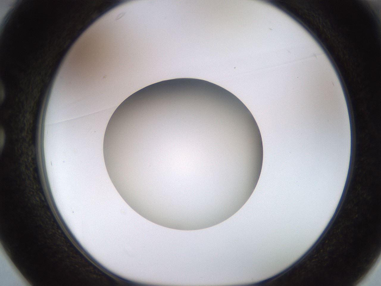 folderID449_plateID1449_batchID5529_wellNum25_profileID1_d1_r92020_ef.jpg