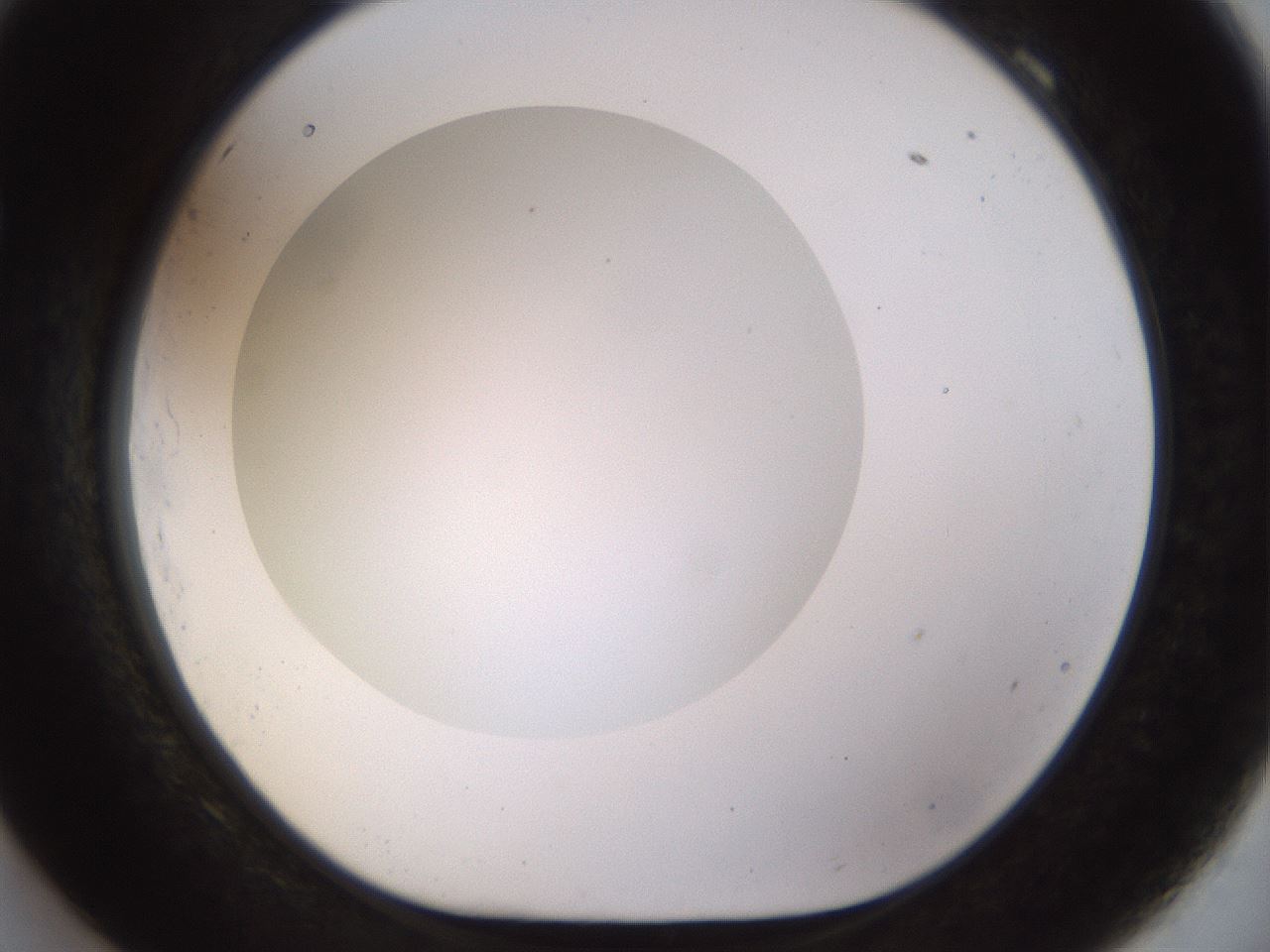 folderID449_plateID1449_batchID5529_wellNum69_profileID1_d1_r92064_ef.jpg