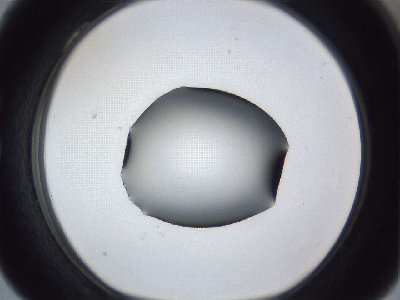 folderID44_plateID1044_batchID2102_wellNum28_profileID1_d1_r46590_ef.jpg