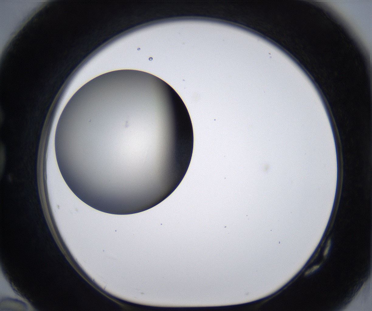 folderID200_plateID2200_batchID9969_wellNum82_profileID1_d1_r149256_ef.jpg