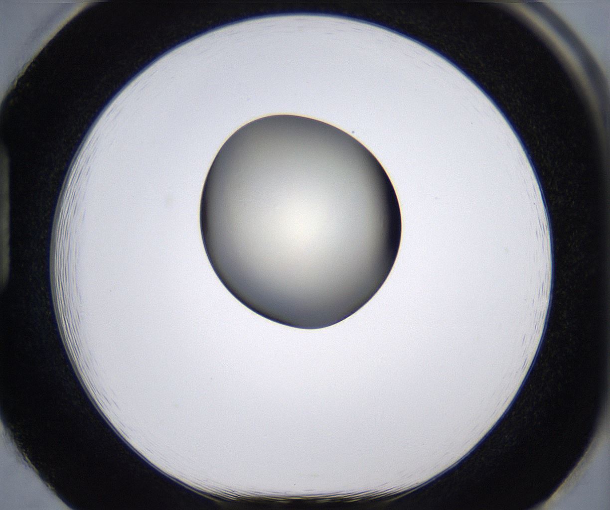 folderID200_plateID2200_batchID9969_wellNum85_profileID1_d1_r149259_ef.jpg