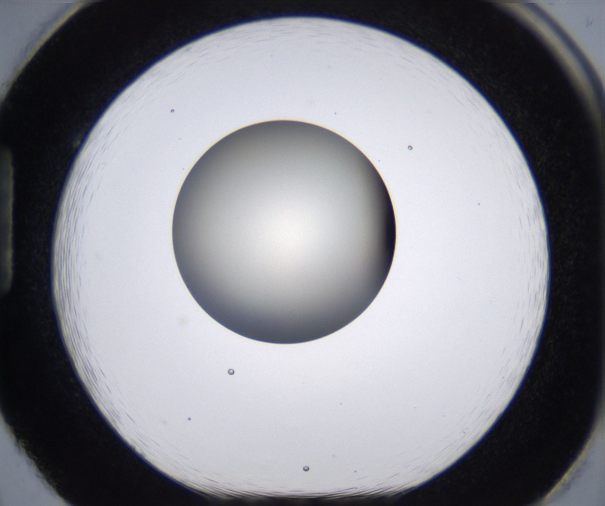 folderID200_plateID2200_batchID9969_wellNum86_profileID1_d1_r149260_ef.jpg
