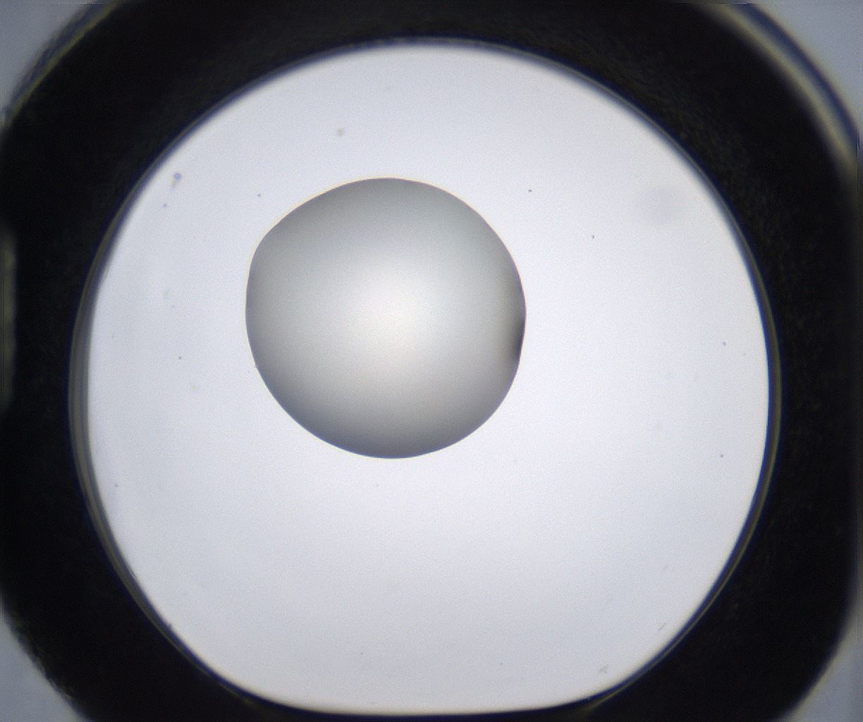 folderID200_plateID2200_batchID9969_wellNum88_profileID1_d1_r149262_ef.jpg