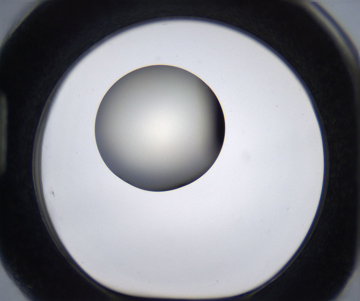 folderID200_plateID2200_batchID9969_wellNum89_profileID1_d1_r149263_ef.jpg