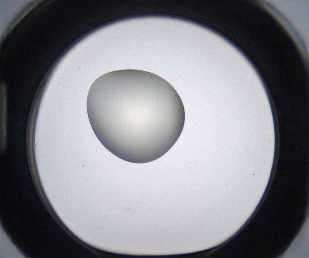 folderID200_plateID2200_batchID9969_wellNum90_profileID1_d1_r149264_ef.jpg