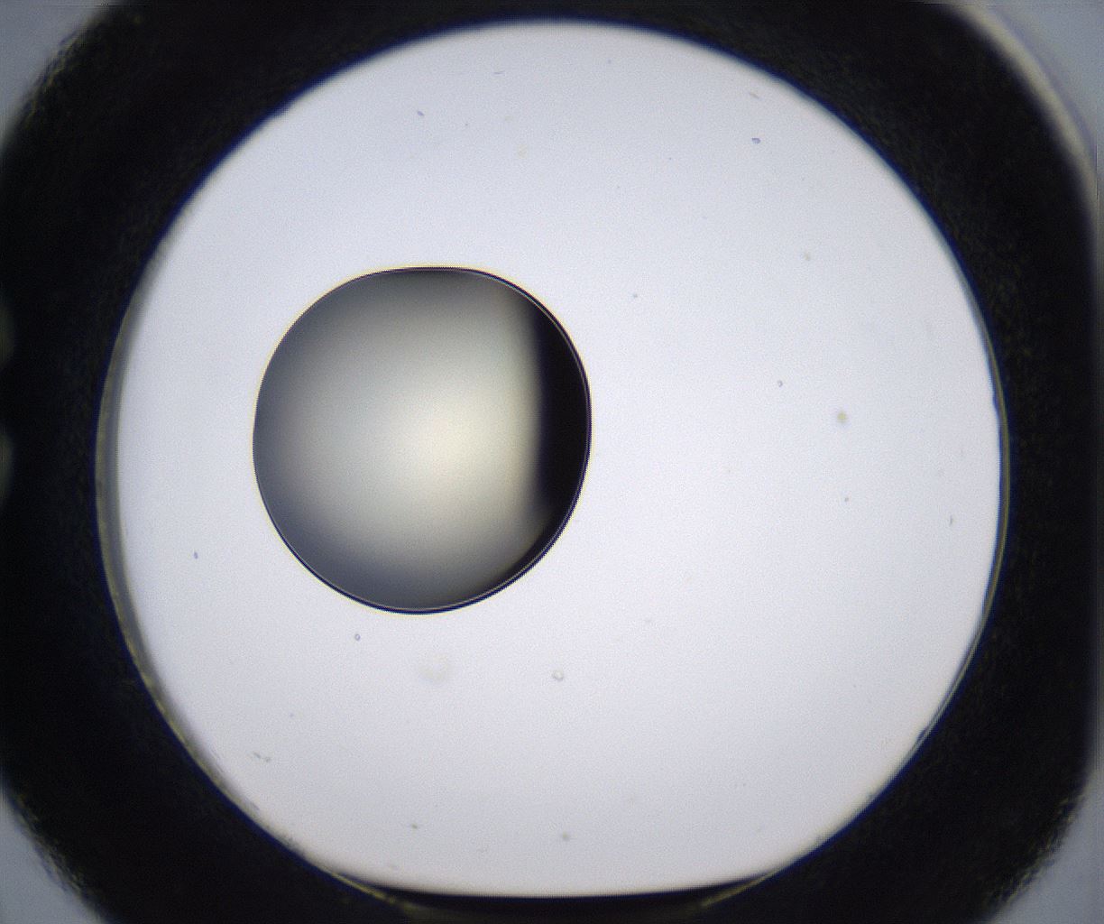 folderID200_plateID2200_batchID9969_wellNum26_profileID1_d1_r149200_ef.jpg