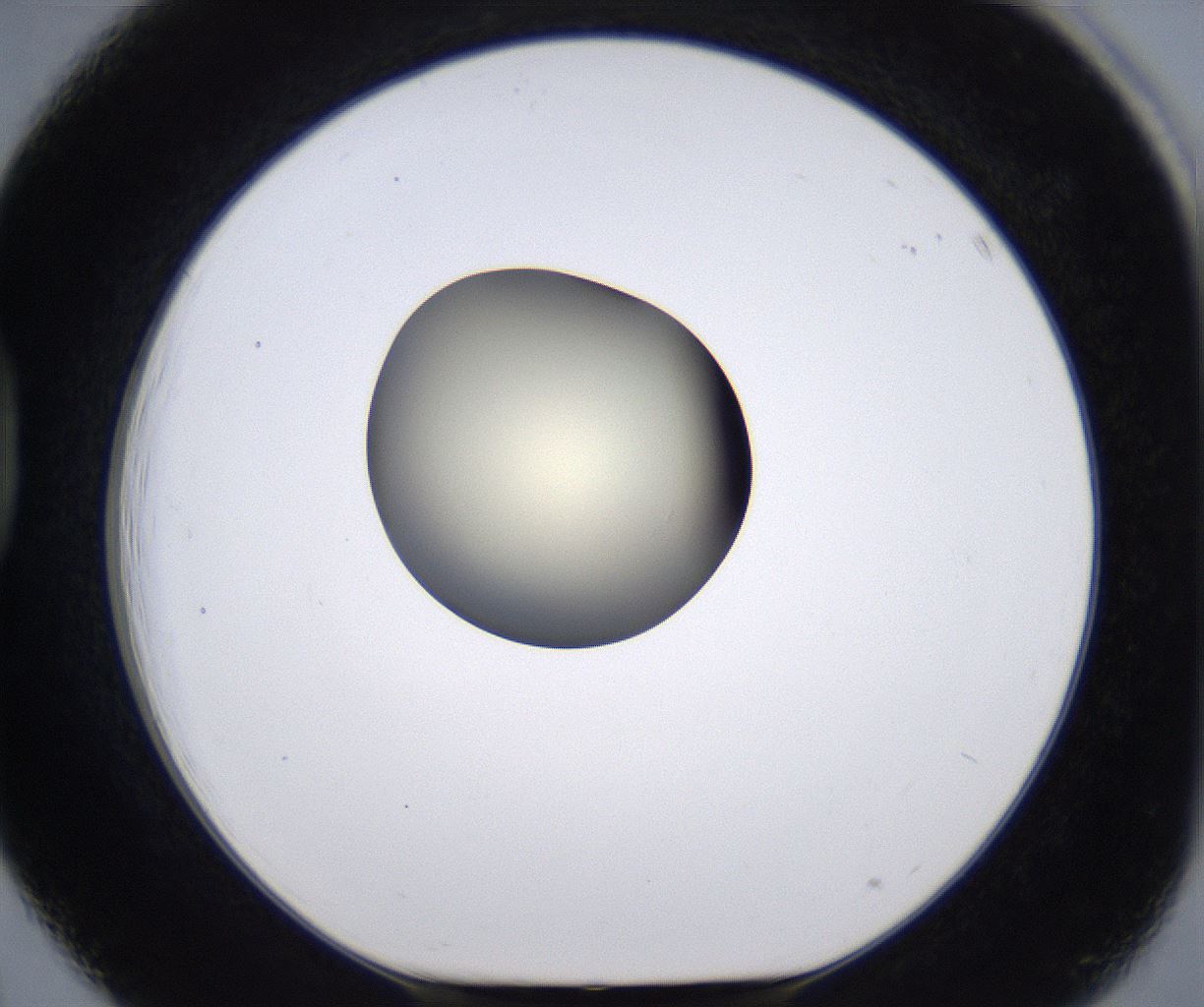folderID200_plateID2200_batchID9969_wellNum39_profileID1_d1_r149213_ef.jpg