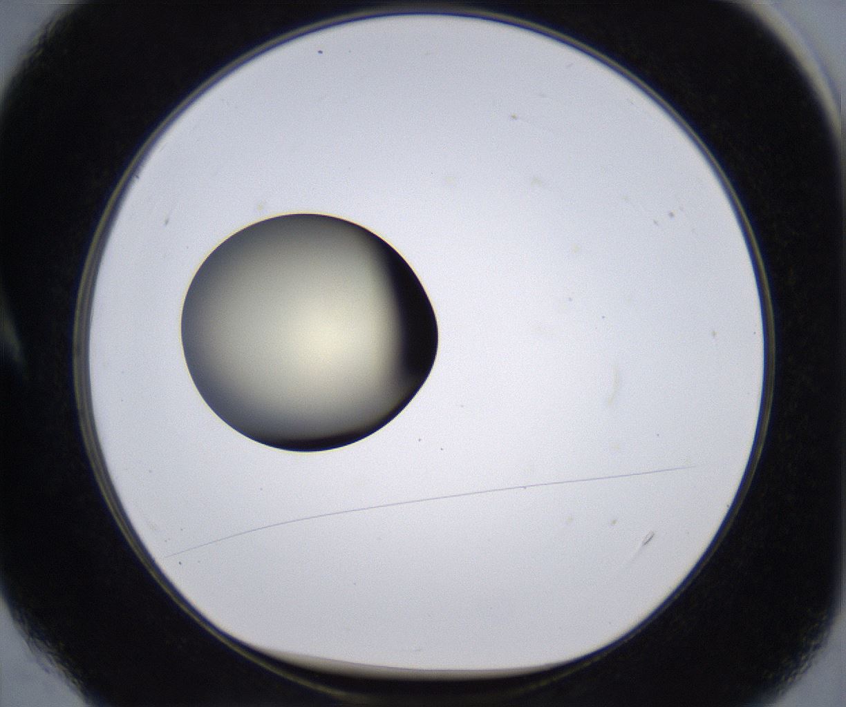 folderID200_plateID2200_batchID9969_wellNum4_profileID1_d1_r149178_ef.jpg
