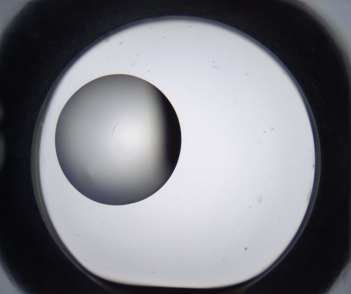 folderID200_plateID2200_batchID9969_wellNum81_profileID1_d1_r149255_ef.jpg
