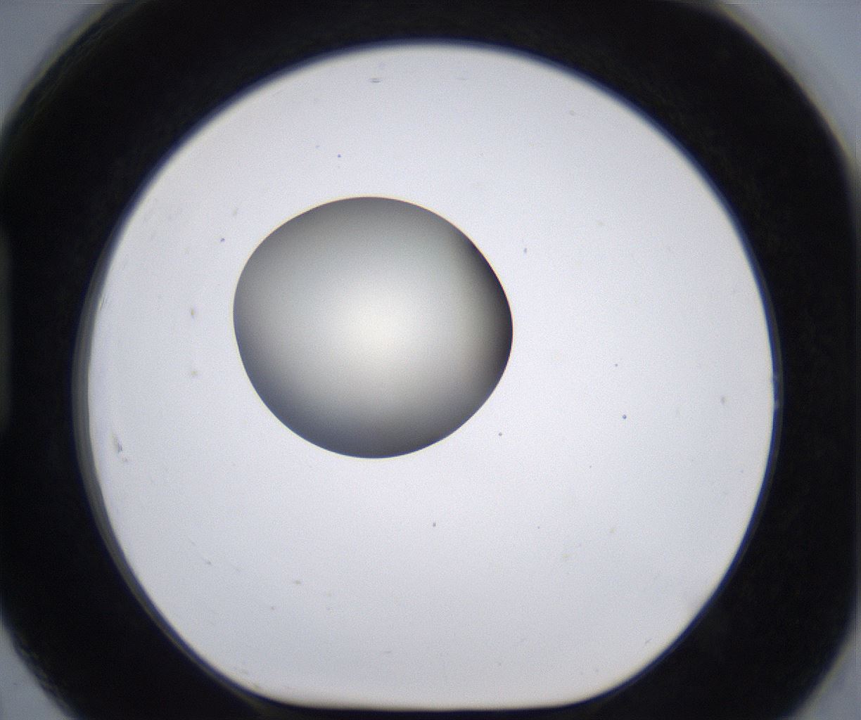 folderID200_plateID2200_batchID9969_wellNum91_profileID1_d1_r149265_ef.jpg